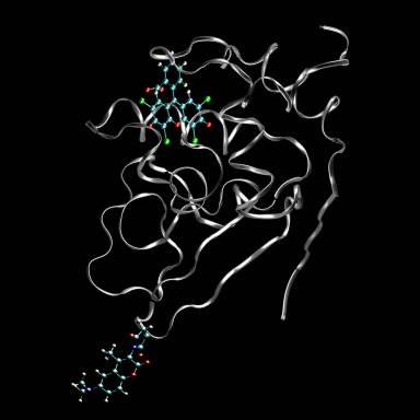 Image chx+dacm+eosin-lores