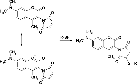 DACM Resonance Forms