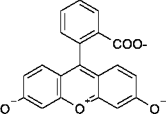 Structure of Fluorescein